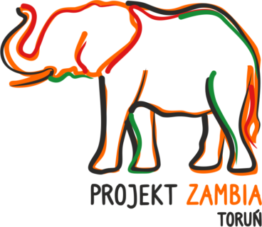 Zambia 2020 - artykuły
