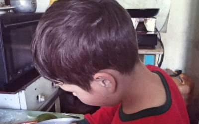 Adopcja Serca – aktualności